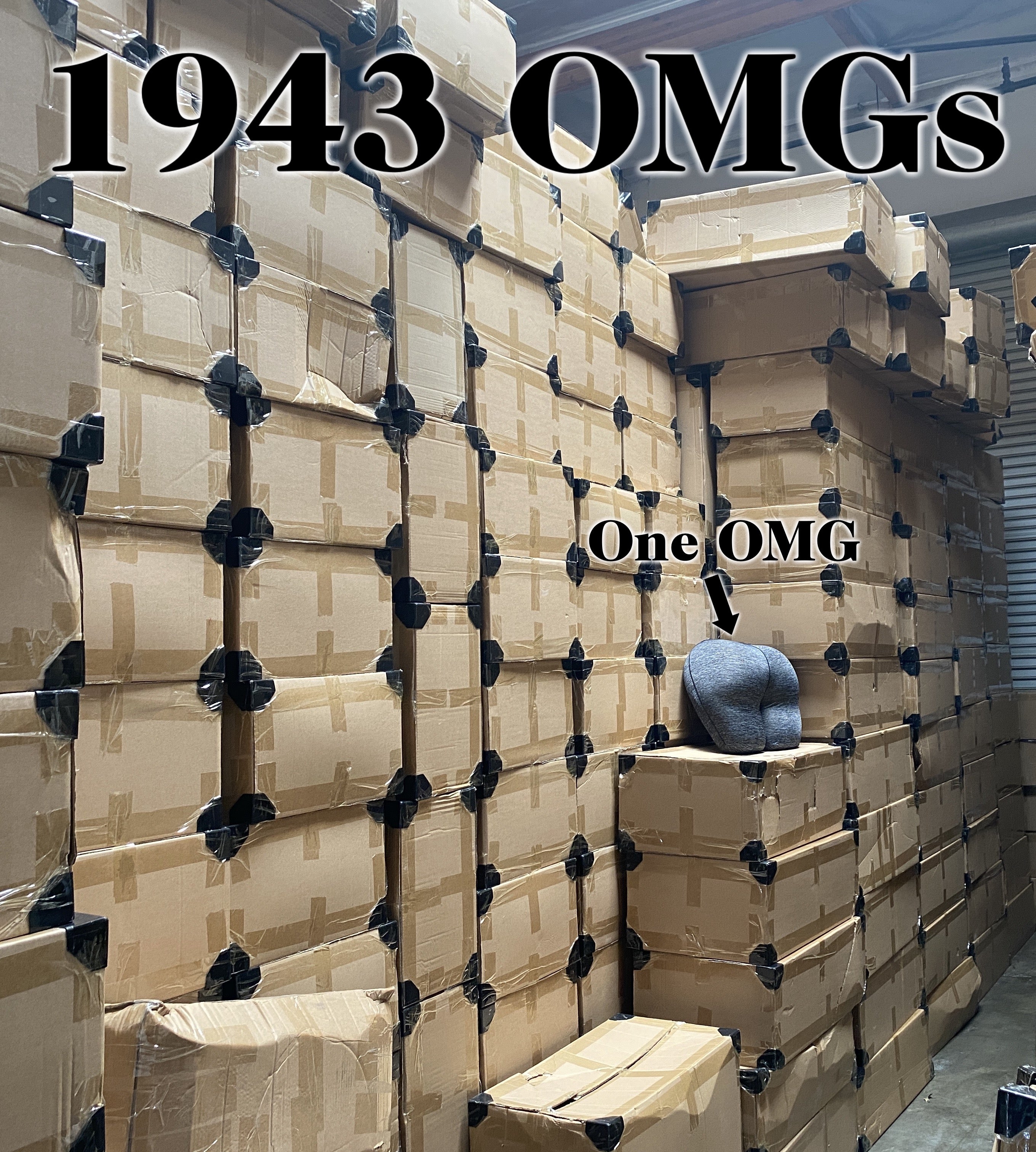 PRICE DROP! $99 for the OMG pillow!?
