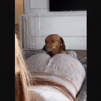 Good humans love butts