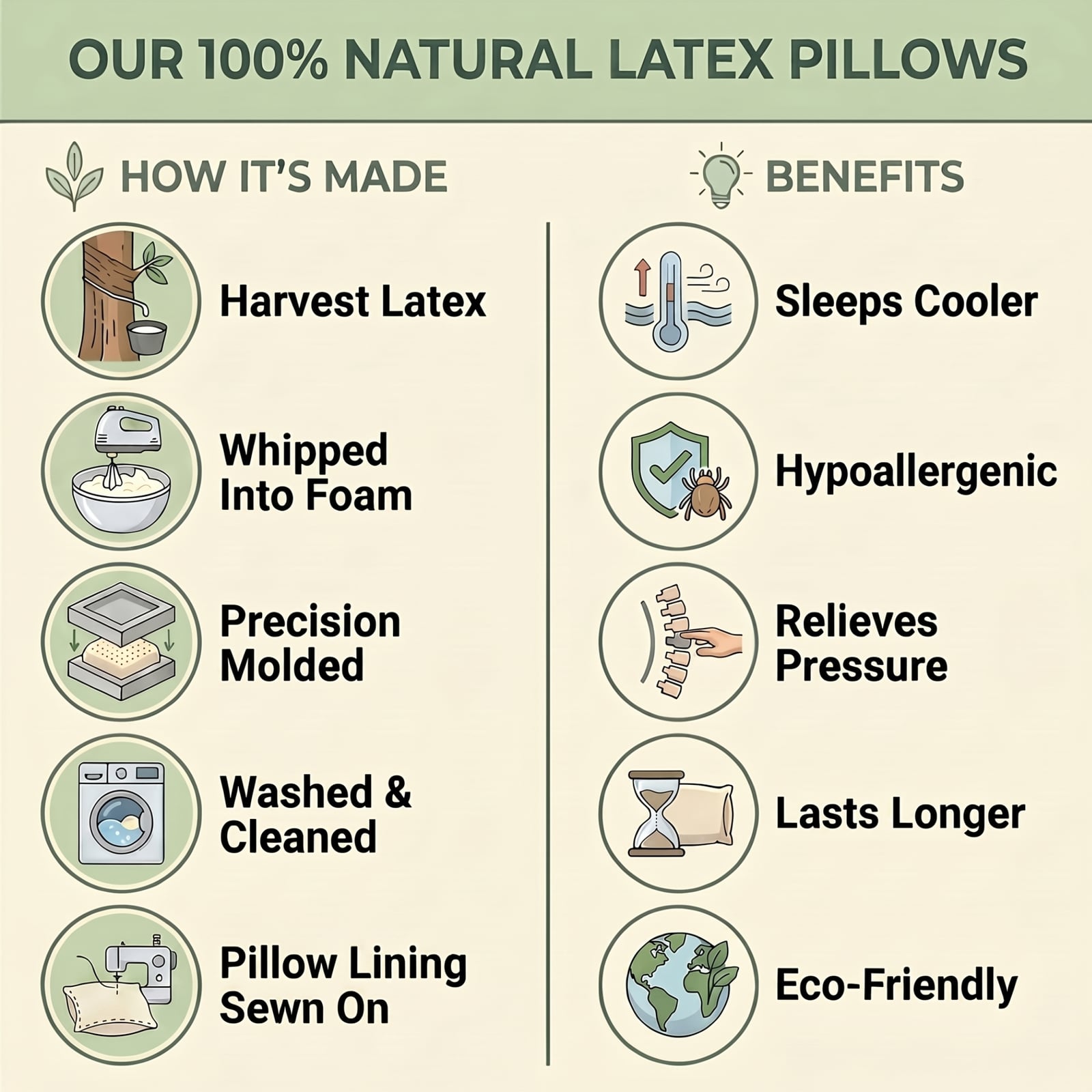 How our 100% natural latex pillows are made β harvest, whip, mold, wash, and sew β plus benefits: sleeps cooler, hypoallergenic, relieves pressure, lasts longer, eco-friendly.